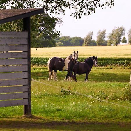 Hotel Hesselgaard Glamping Dalby Zewnętrze zdjęcie
