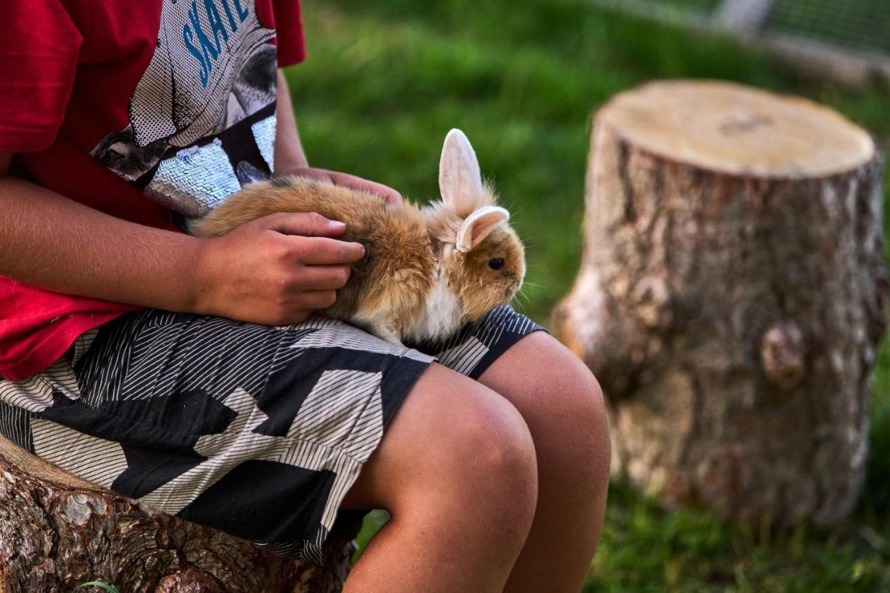 Hotel Hesselgaard Glamping Dalby Zewnętrze zdjęcie