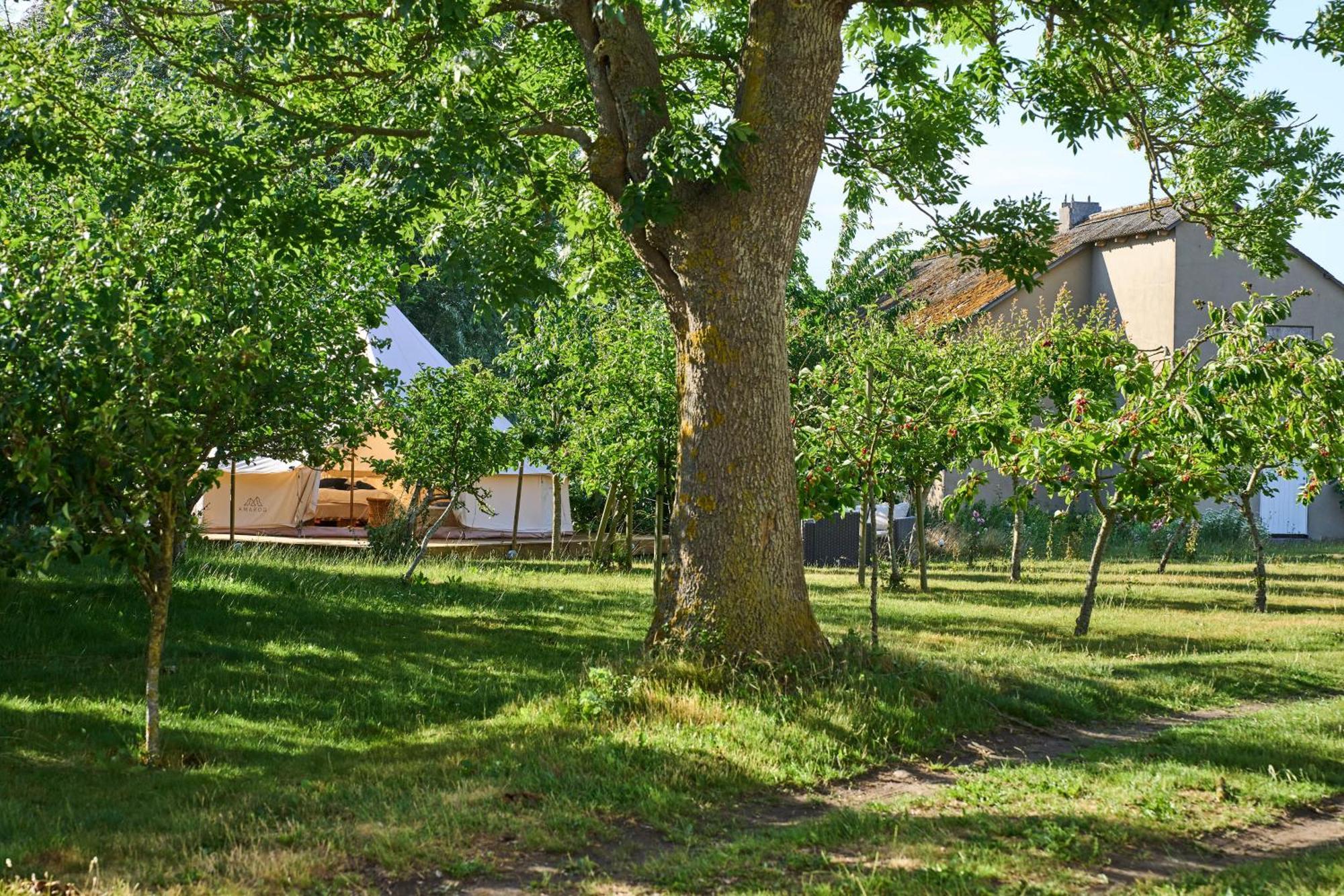 Hotel Hesselgaard Glamping Dalby Zewnętrze zdjęcie